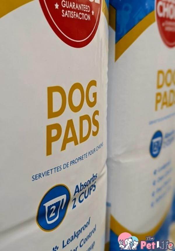 tappetini igienici per cani