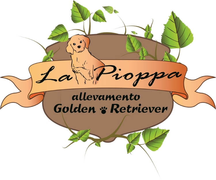 Allevamento Golden Retriever La Pioppa