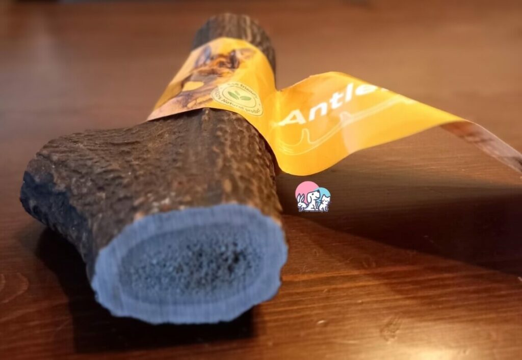 Primo piano midollo di corno di cervo