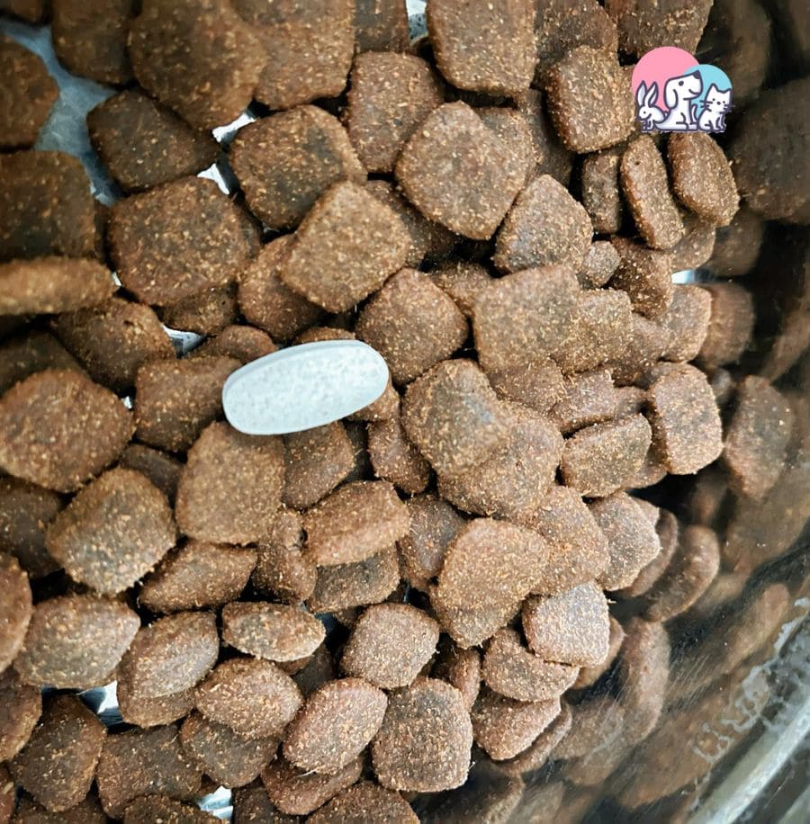 primo-piano-compressa-Condrogen-in-ciotola-di-crocchette-per-cani