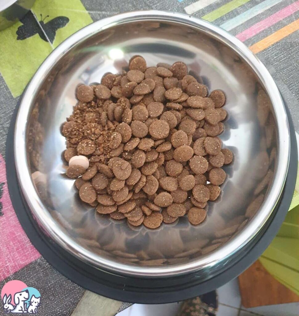 Ciotola per cani in acciaio con crocchette
