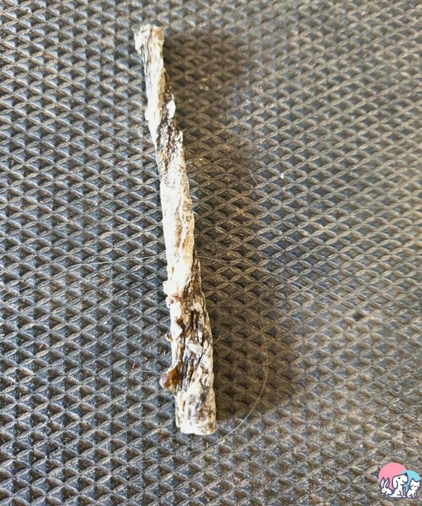 Primo piano di bastoncino di pelle di merluzzo essiccata SnackoMio