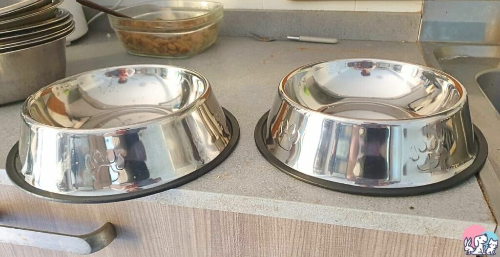 ciotole per cani