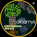 logo-dinamys