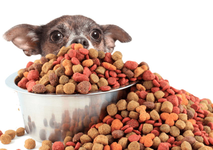 Tabella dosi cibo per cani 2