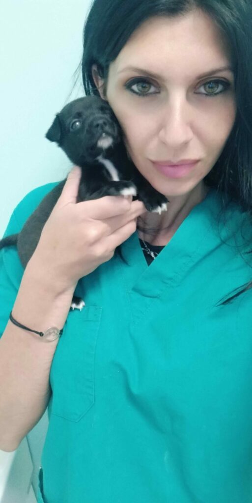 Rosaria Amoruso tecnico veterinario