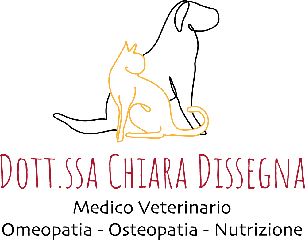 logo chiara dissegna